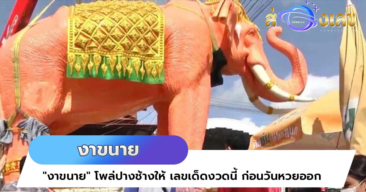 “งาขนาย” โพล่ปางช้างให้ เลขเด็ดงวดนี้ ก่อนวันหวยออก