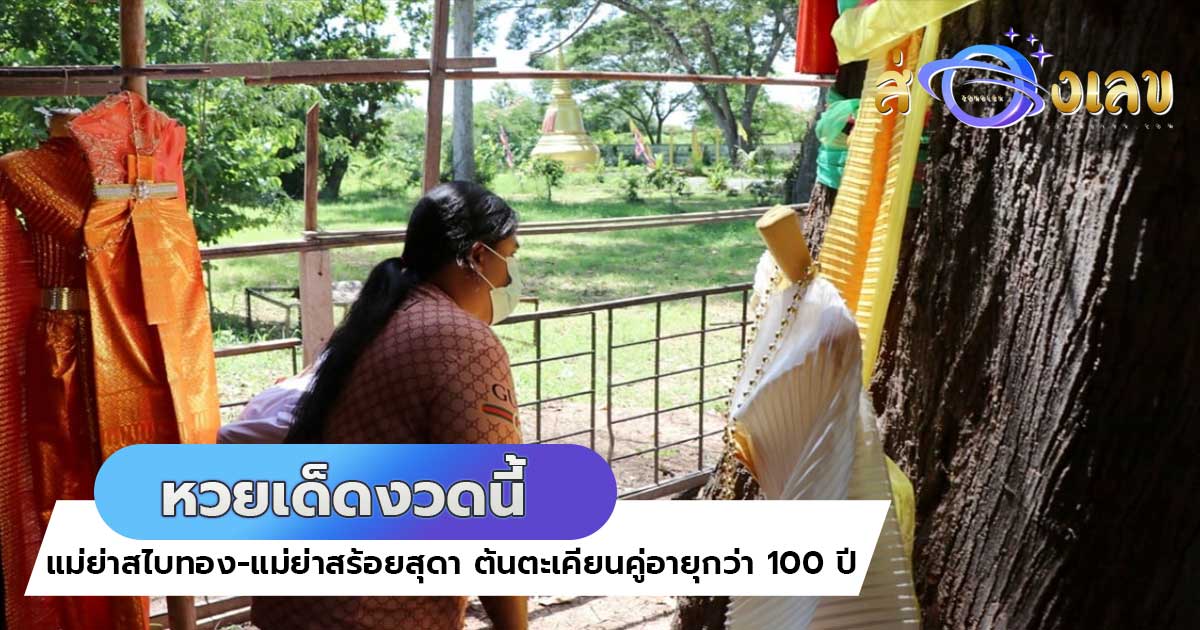 ส่องที่นี่ หวยเด็ดงวดนี้ แม่ย่าตะเคียนคู่อายุกว่า 100 ปี