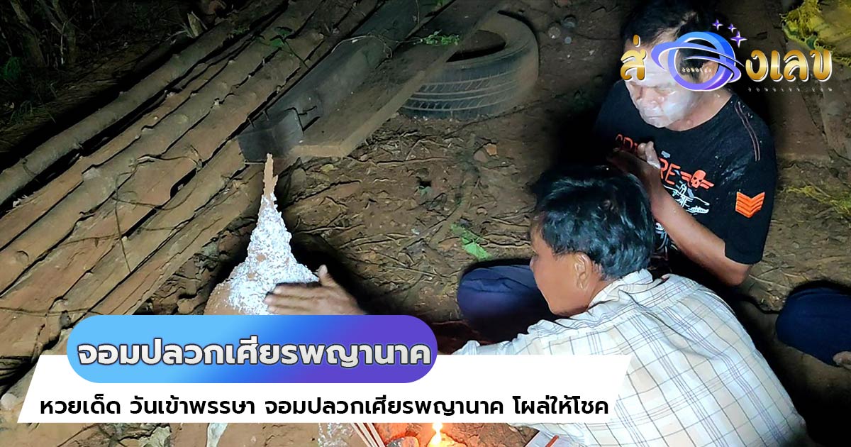 หวยเด็ด วันเข้าพรรษา จอมปลวกเศียรพญานาค โผล่ให้โชค