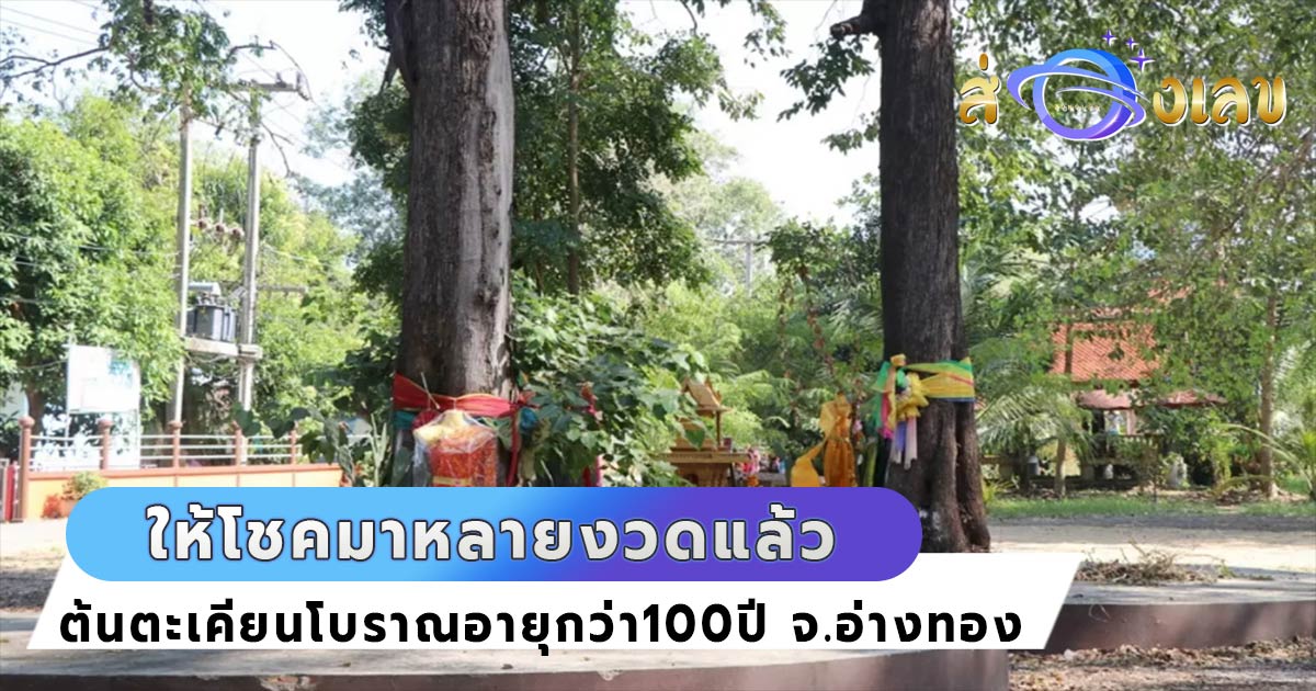 เลขนำโชค แม่ตะเคียนโบราณ อายุกว่า100ปี คอหวยพบ3ตัวชัด!