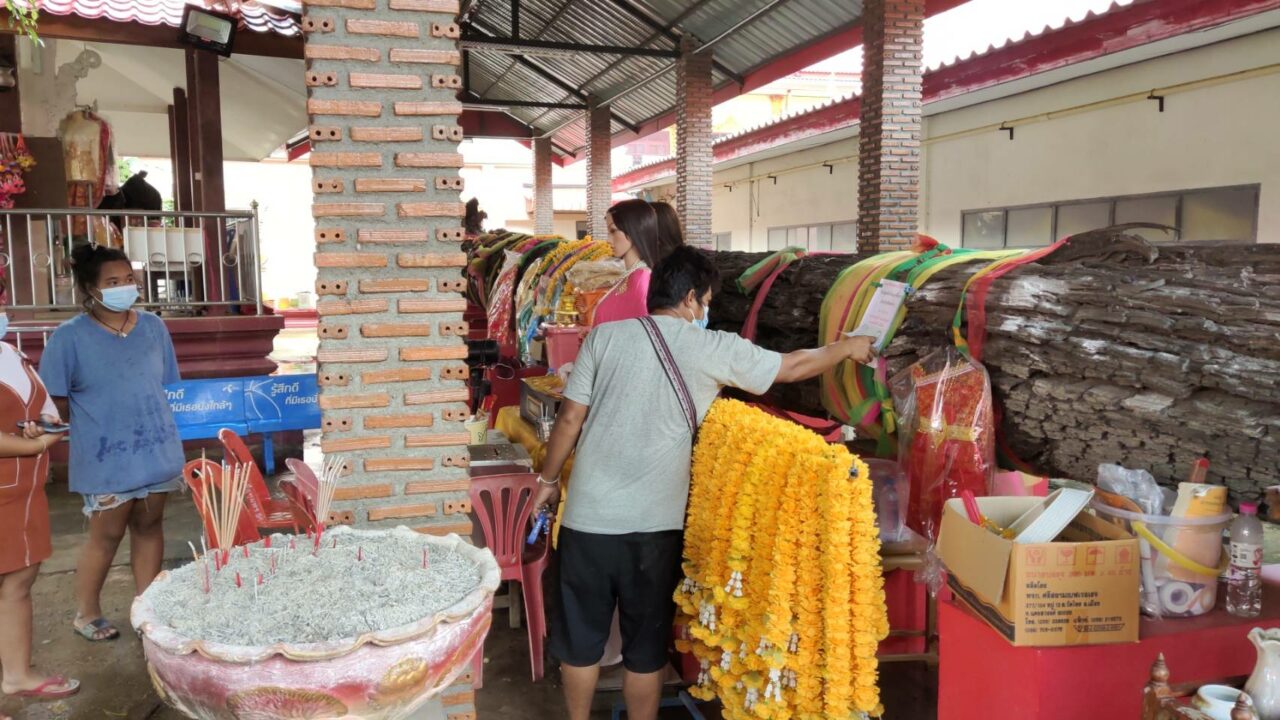 ตะเคียนแม่ศรีมณีทอง