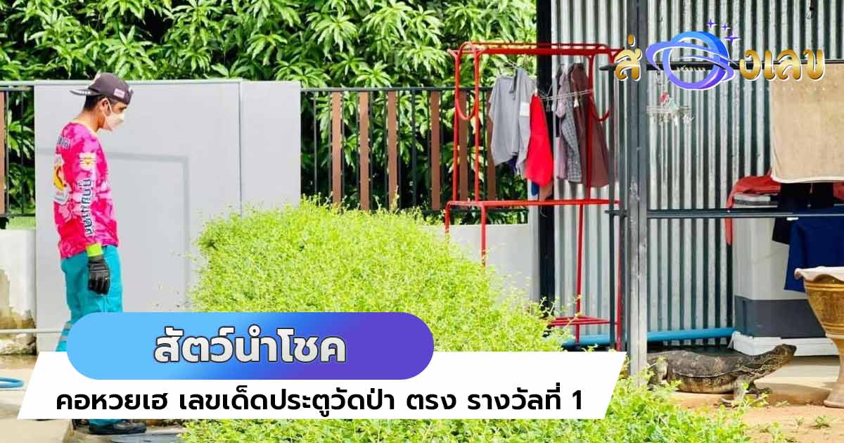 สัตว์นำโชค ไซส์ยักษ์! “ตัวเงินตัวทอง”ยาว 3 เมตรบุกบ้าน นึกว่าจระเข้!