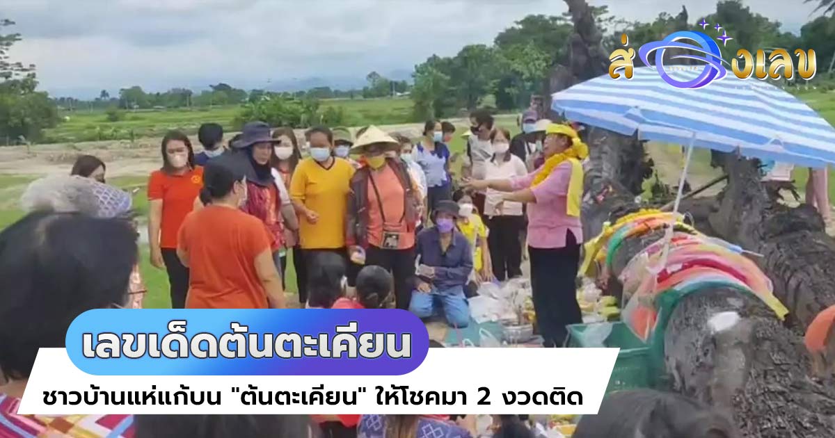 เลขเด็ด “ต้นตะเคียน” คล้ายเศียรพญานาค ให้โชค2งวดติด คอหวยแห่แก้บน