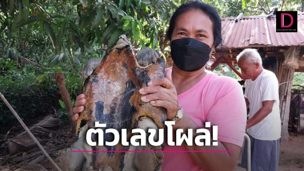 สัตว์นำโชค "เต่ายักษ์"