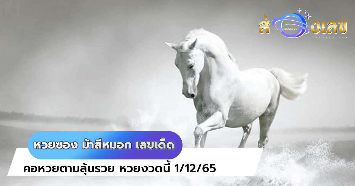 หวยซอง ม้าสีหมอก เลขเด็ด คอหวยตามลุ้นรวย หวยงวดนี้ 1/12/65