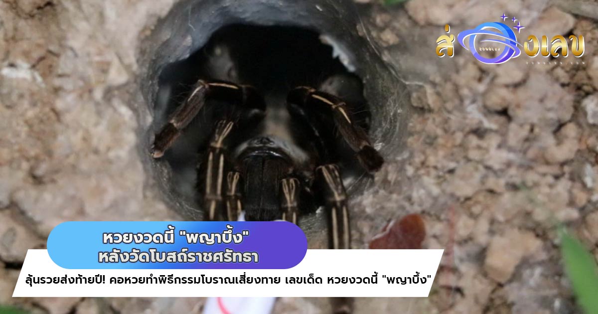 หวยงวดนี้ 30/12/65 ชาวบ้านทำพิธีเสี่ยงทาย พญาบึ้ง วัดโบสถ์ราชศรัทธา