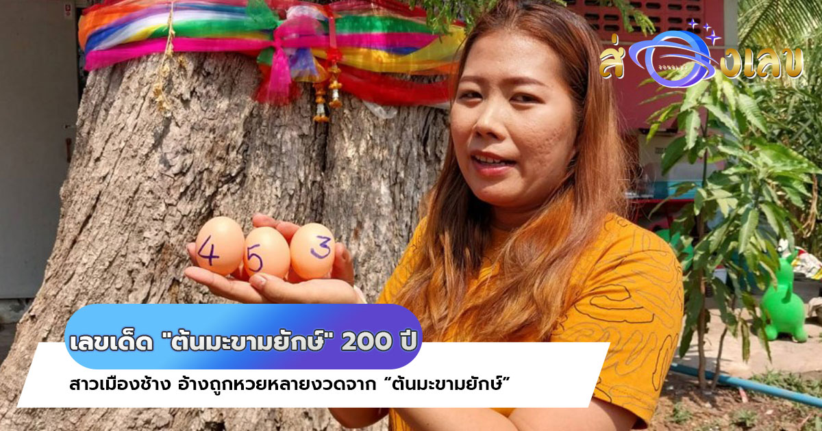 เลขเด็ดจาก “ต้นมะขามยักษ์” อายุ 200 ปี ถูกหวยแล้วหลายงวด