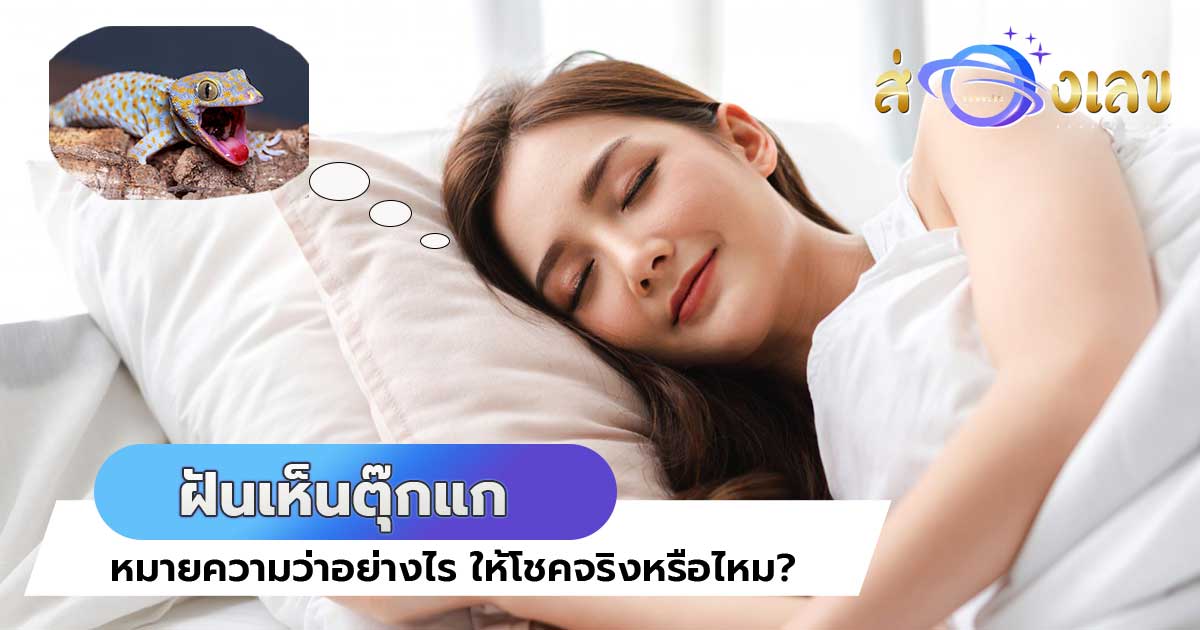 “ฝันเห็นตุ๊กแก” หมายความว่าอย่างไร ให้โชคจริงหรือไหม ?