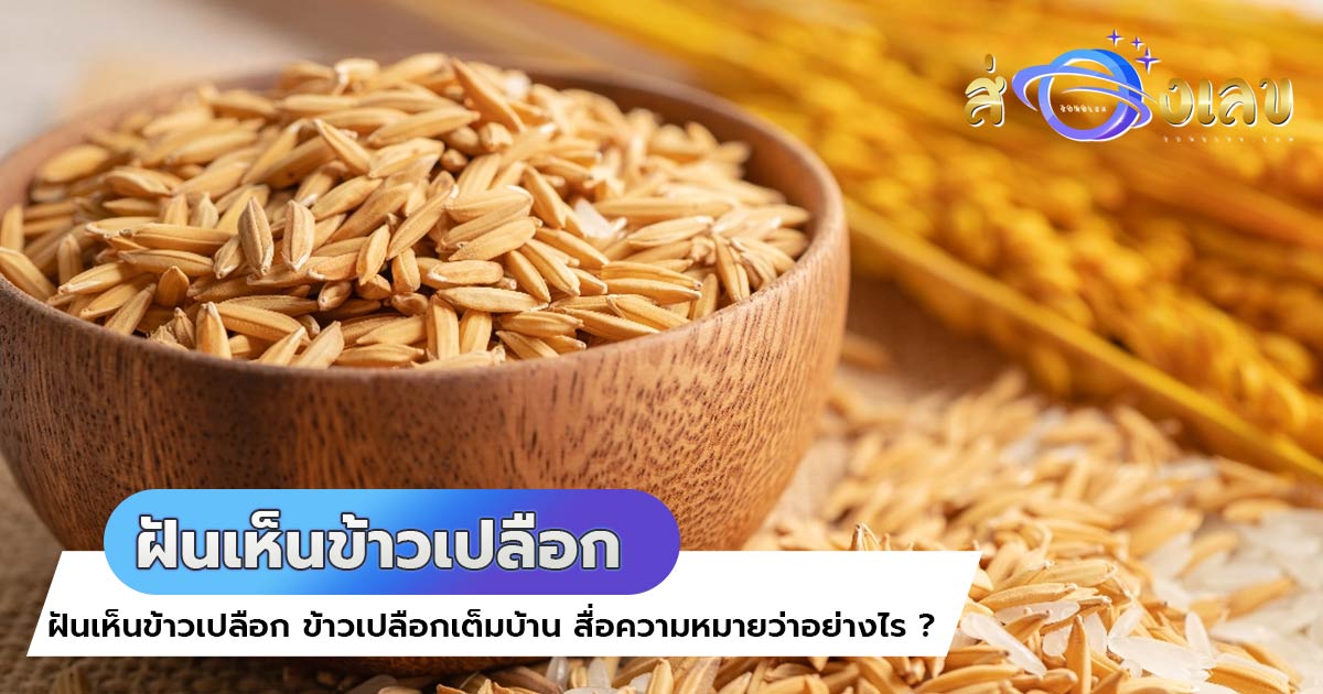 ทำนายฝัน ฝันเห็นข้าวเปลือก สื่อความหมายอย่างไร รับโชคหรือไม่ ?